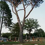Podere Scoldasu - Minerva Gospodarstwo agroturystyczne Massa Marittima