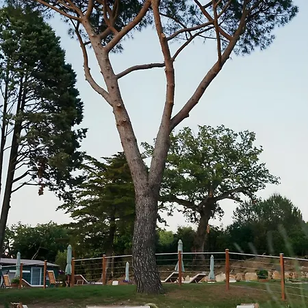 Podere Scoldasu - Minerva Farm stay Massa Marittima